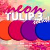 Nail Artists 27D Gellak 251 - Afbeelding 2