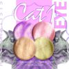 Nail Artists 27D Gellak 502 Cateye - Afbeelding 2